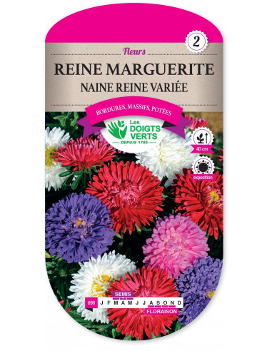 LES DOIGTS VERTS Reine Marguerite Naine Reine Variée