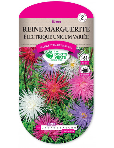 LES DOIGTS VERTS Reine Marguerite Électrique Unicum Variée