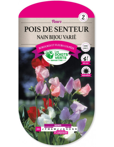 LES DOIGTS VERTS Pois de senteur Nain Bijou Varié