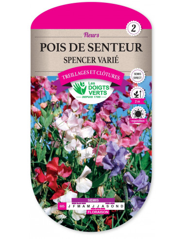 LES DOIGTS VERTS Pois de senteur Spencer Varié