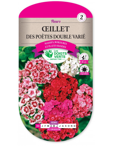 LES DOIGTS VERTS Œillet Des Poètes Double Varié