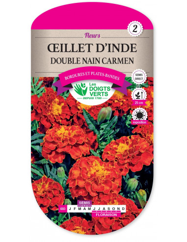 LES DOIGTS VERTS Œillet d'Inde Double Nain Carmen