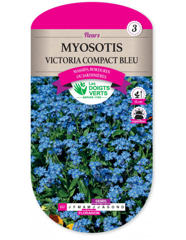 LES DOIGTS VERTS Myosotis Victoria Compact Bleu