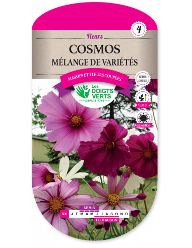 LES DOIGTS VERTS Cosmos Mélange de variétés