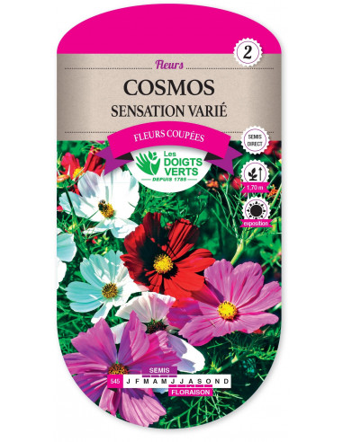 LES DOIGTS VERTS Cosmos Sensation varié