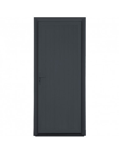 ALU Porte aluminium pleine L.900 X H.2200 MM Droite Gris anthracite