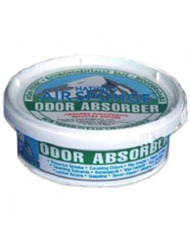 TRUE VALUE Eponge absorbeur odeur 0.5