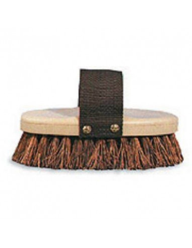 TRUE VALUE Brosse palmyra - marron