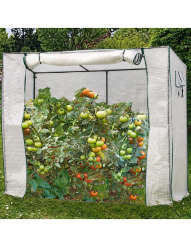 DIFFUSION 545164 Serre à tomates en métal avec housse en plastique - L.200 x l.80 x H.150/169 cm, Acier et plastique