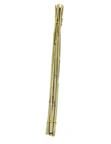 DIFFUSION 579679 Tuteur en bambou naturel - 10 x H.50 cm