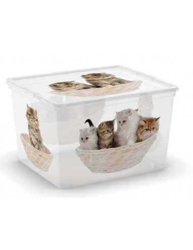 KIS Boîte de rangement plastique C BOX Style CUBE Animaux - 40 x 34 x 25 cm 27 L