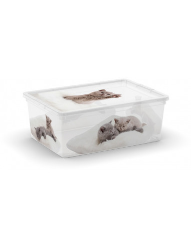 KIS Boîte de rangement C BOX Style S Animaux - 26 x 37 x 14 cm 11 L