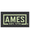 Ames