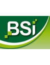 BSI