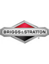 Briggs & Stratton